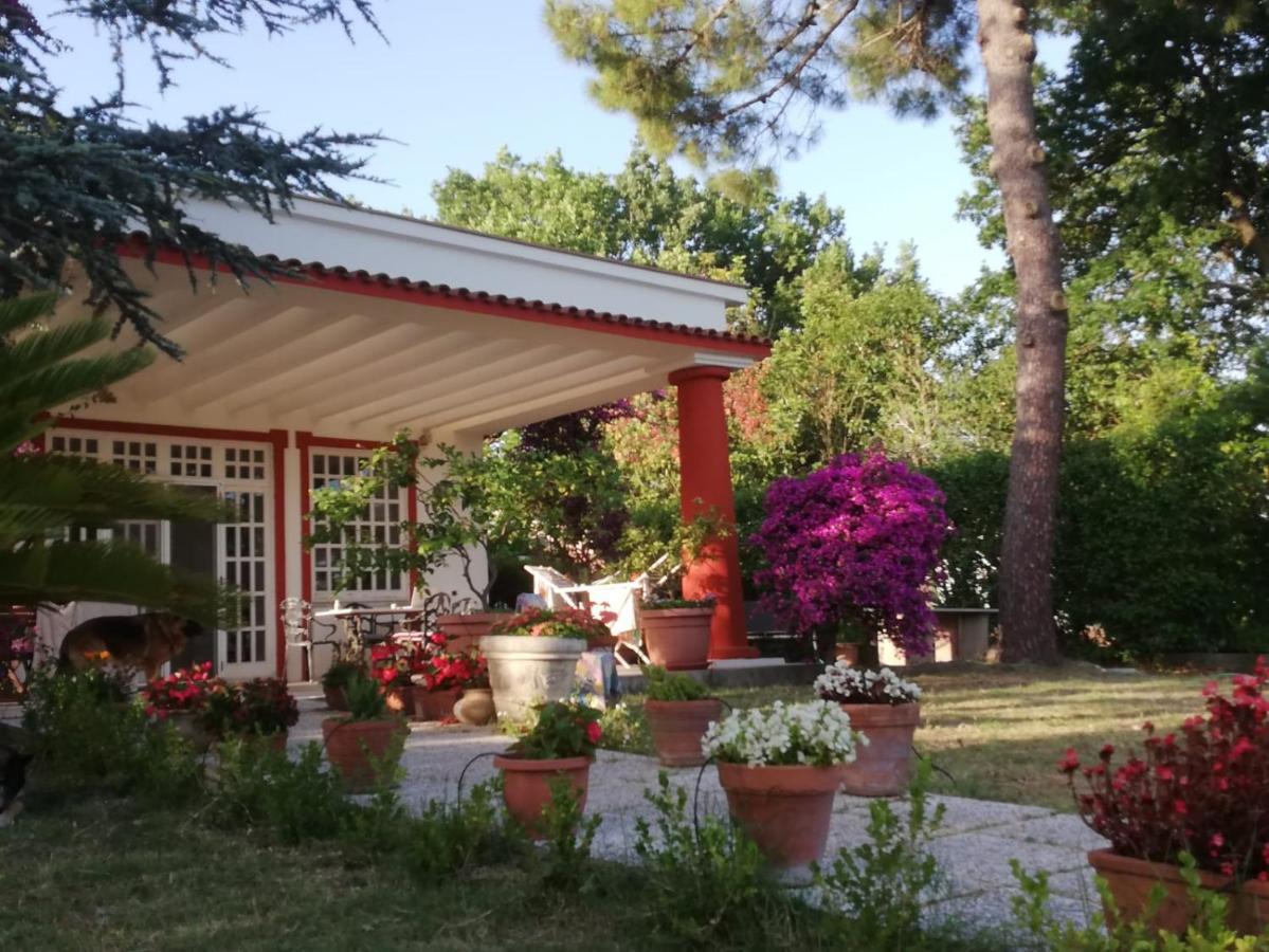 Villa Panoramica Con Piscina E Giardino Per 6 A Minturno Bagian luar foto